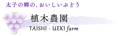 太子の郷の、おいしいぶどう｜植木農園｜TAISHI - UEKI farm